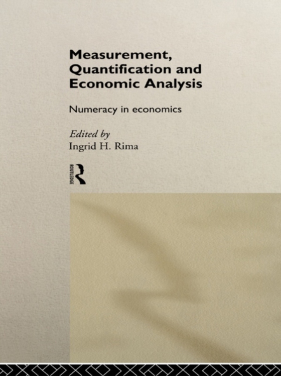 Measurement, Quantification and Economic Analysis (e-bog) af -