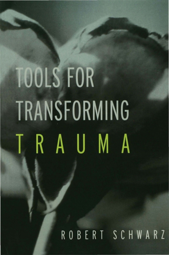 Tools for Transforming Trauma (e-bog) af Schwarz, Robert