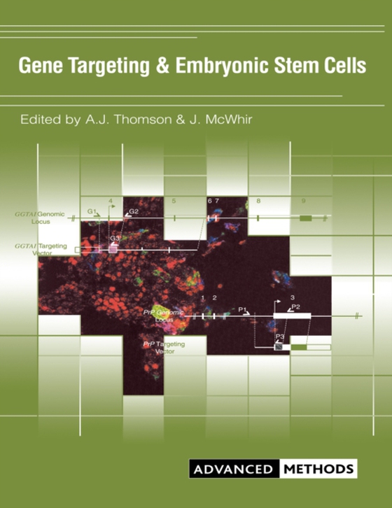 Gene Targeting and Embryonic Stem Cells (e-bog) af Thomson, Alison