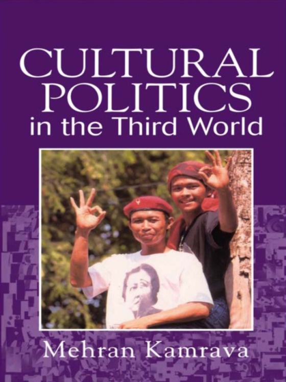 Cultural Politics in the Third World (e-bog) af Kamrava, Mehran