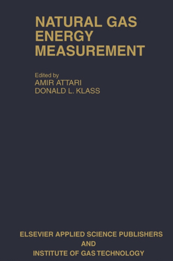 Natural Gas Energy Measurement (e-bog) af -