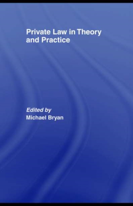 Private Law in Theory and Practice (e-bog) af -