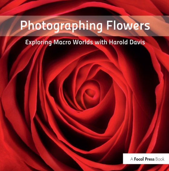 Photographing Flowers