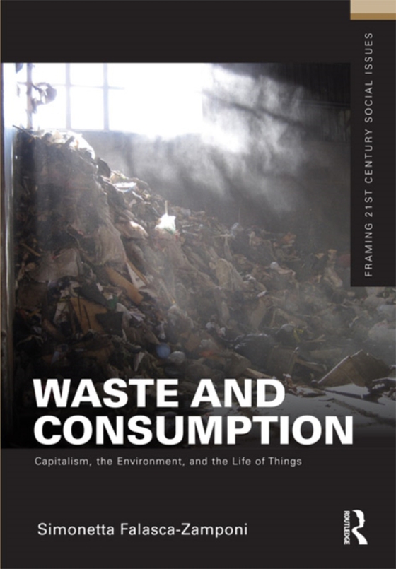 Waste and Consumption (e-bog) af Falasca-Zamponi, Simonetta