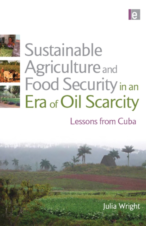 Sustainable Agriculture and Food Security in an Era of Oil Scarcity