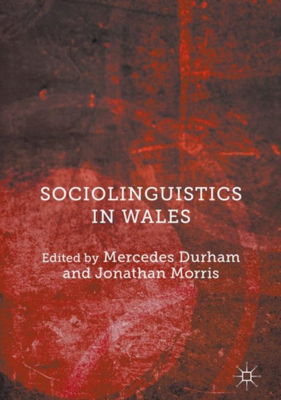 Sociolinguistics in Wales (e-bog) af -