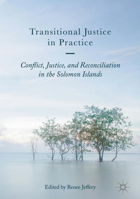 Transitional Justice in Practice