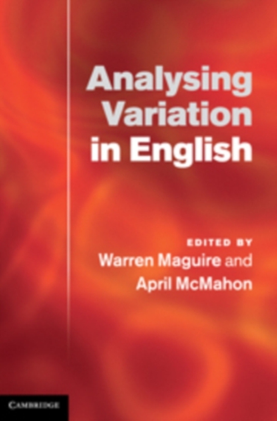 Analysing Variation in English (e-bog) af -