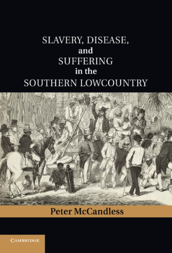 Slavery, Disease, and Suffering in the Southern Lowcountry (e-bog) af McCandless, Peter