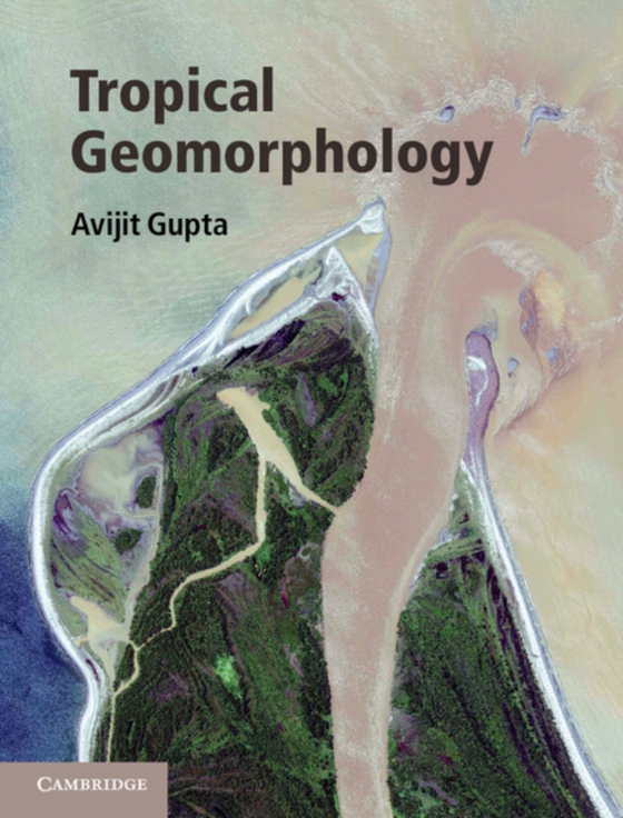 Tropical Geomorphology (e-bog) af Gupta, Avijit