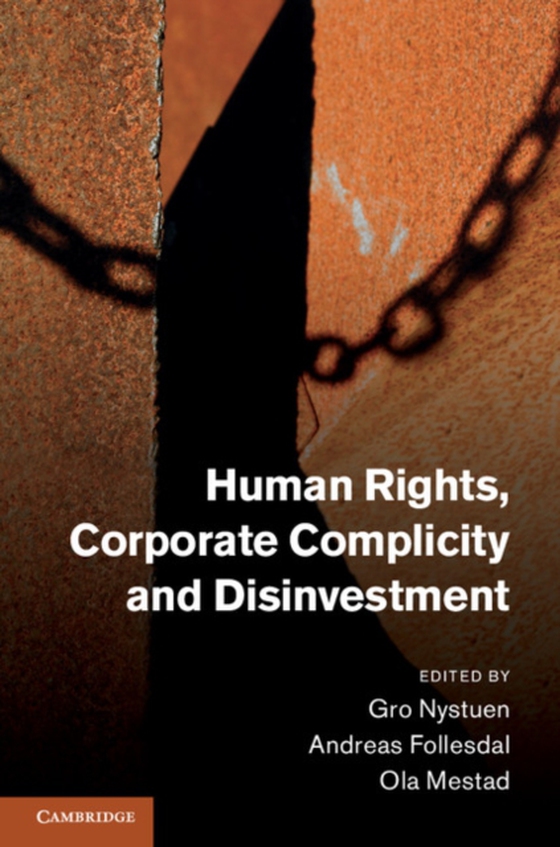 Human Rights, Corporate Complicity and Disinvestment (e-bog) af -