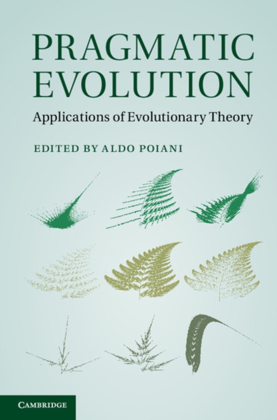 Pragmatic Evolution (e-bog) af -