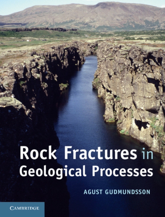 Rock Fractures in Geological Processes (e-bog) af Gudmundsson, Agust