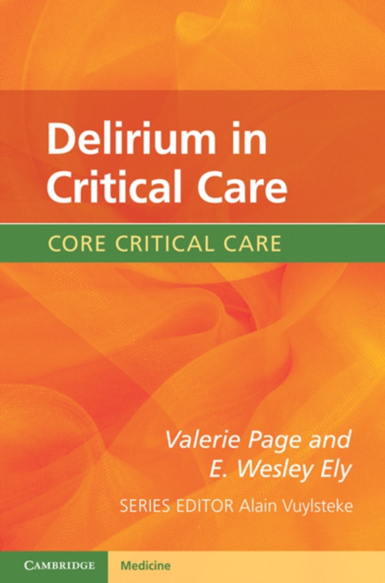 Delirium in Critical Care (e-bog) af Ely, E. Wesley