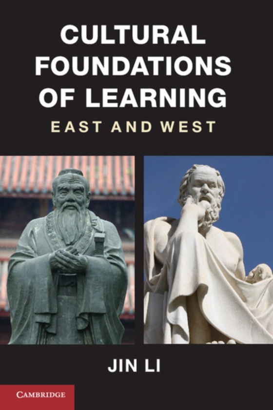 Cultural Foundations of Learning (e-bog) af Li, Jin