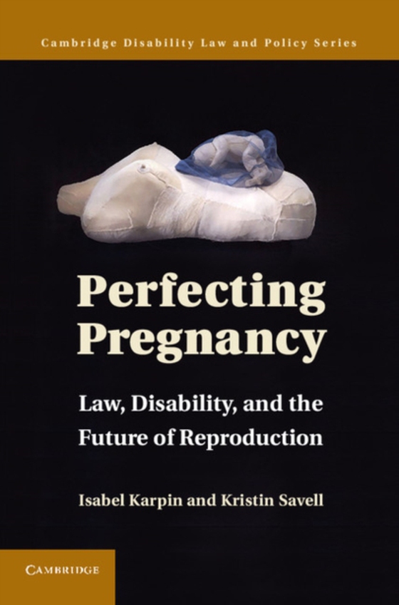 Perfecting Pregnancy (e-bog) af Savell, Kristin