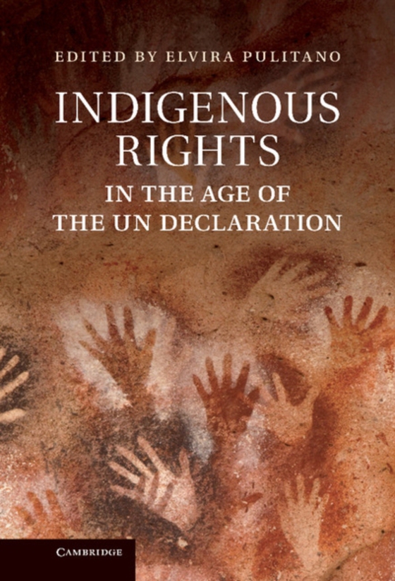 Indigenous Rights in the Age of the UN Declaration (e-bog) af -