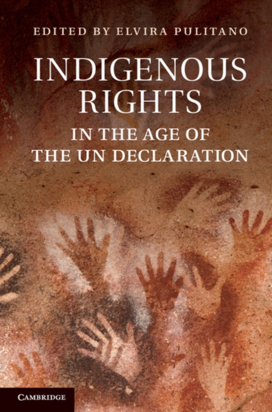 Indigenous Rights in the Age of the UN Declaration (e-bog) af -