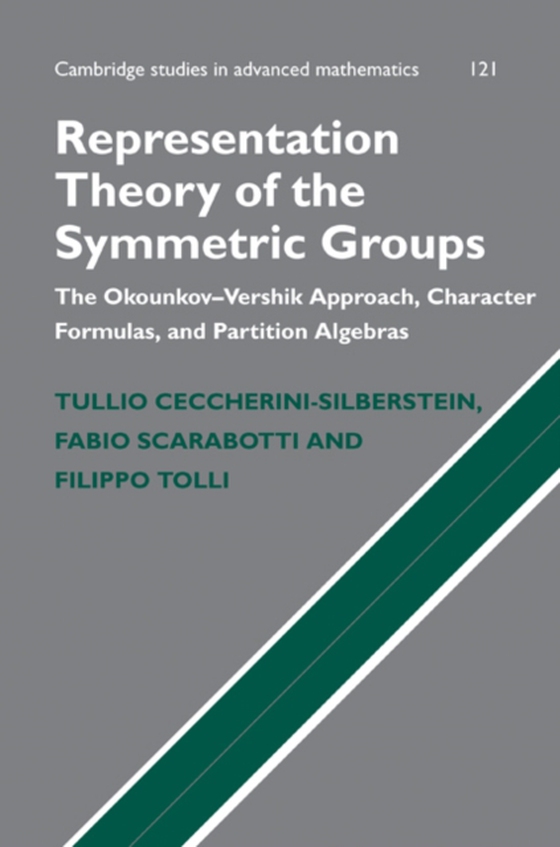 Representation Theory of the Symmetric Groups (e-bog) af Tolli, Filippo