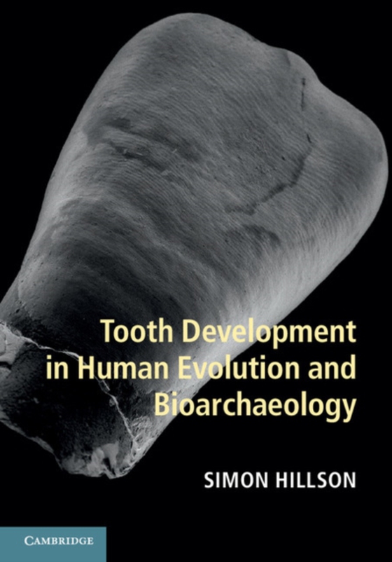 Tooth Development in Human Evolution and Bioarchaeology (e-bog) af Hillson, Simon