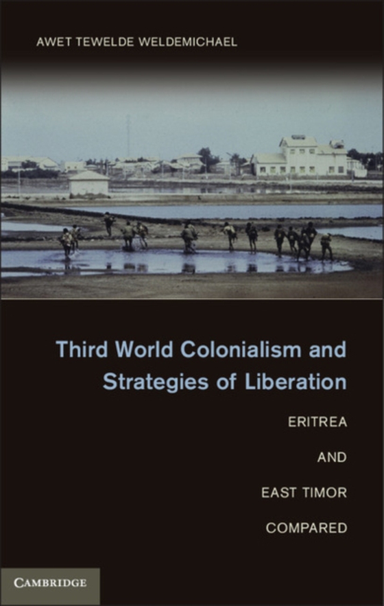 Third World Colonialism and Strategies of Liberation (e-bog) af Weldemichael, Awet Tewelde