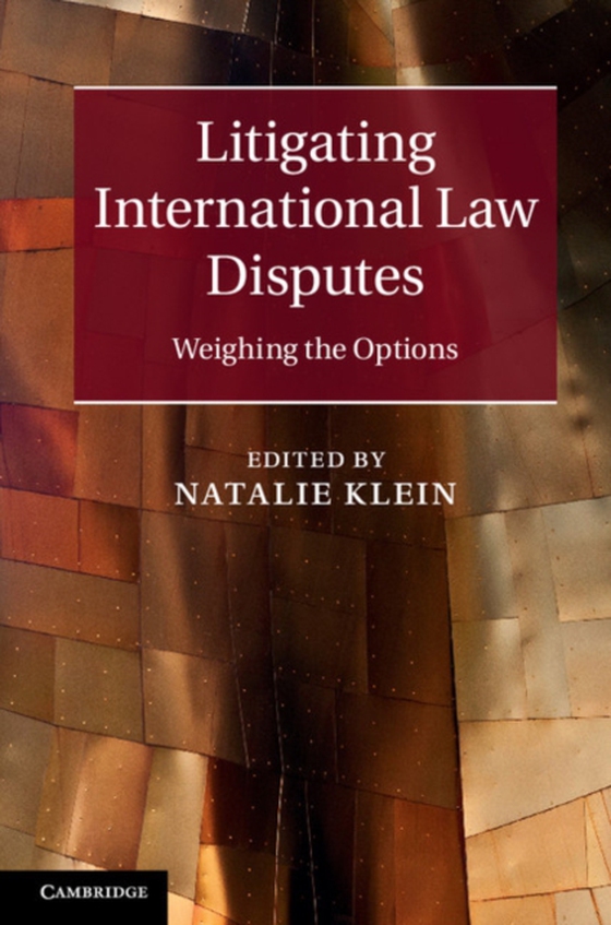 Litigating International Law Disputes (e-bog) af -