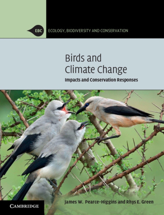 Birds and Climate Change (e-bog) af Green, Rhys E.