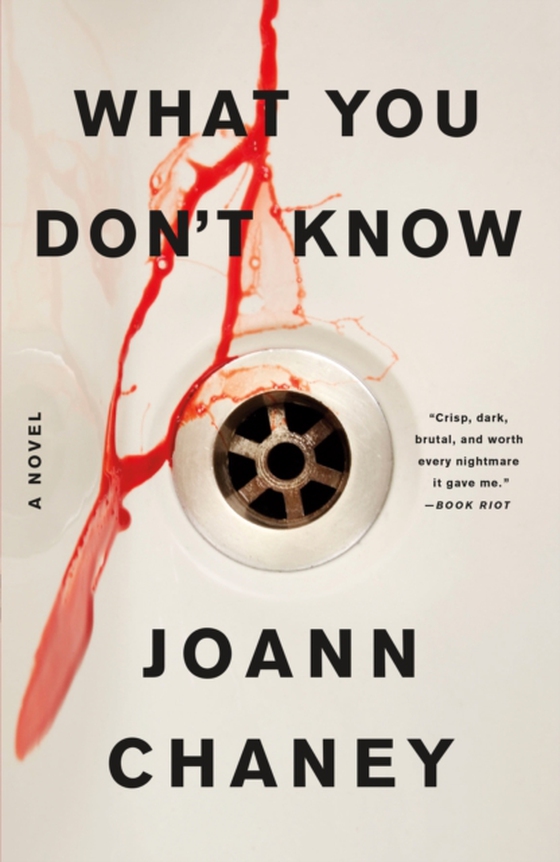 What You Don't Know (e-bog) af Chaney, JoAnn