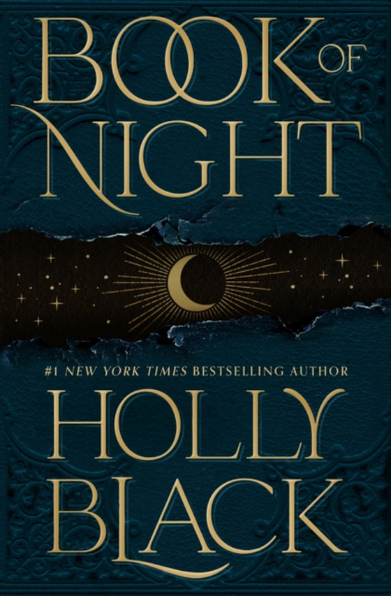 Book of Night (e-bog) af Black, Holly