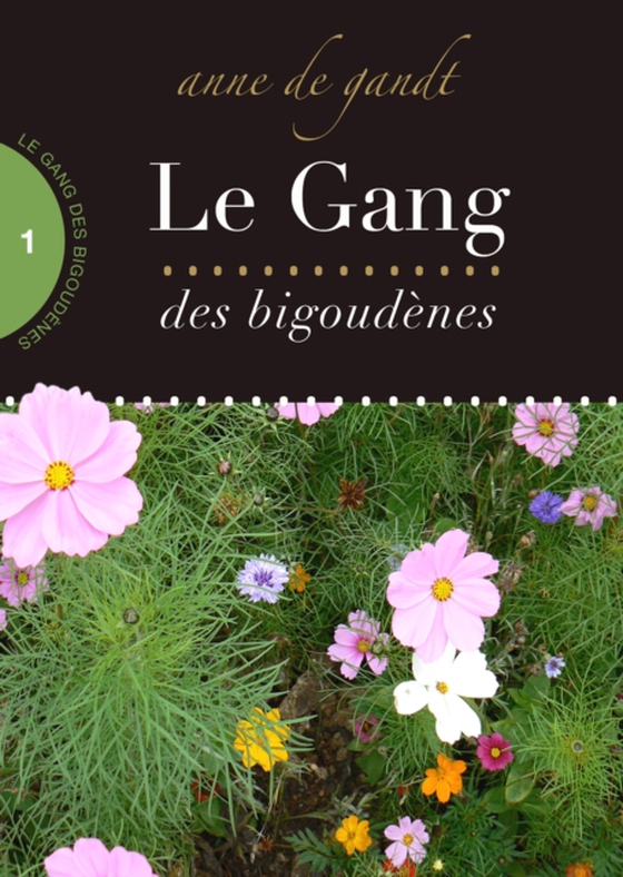 Le Gang des bigoudenes (Saison 1) (e-bog) af Gandt, Anne de