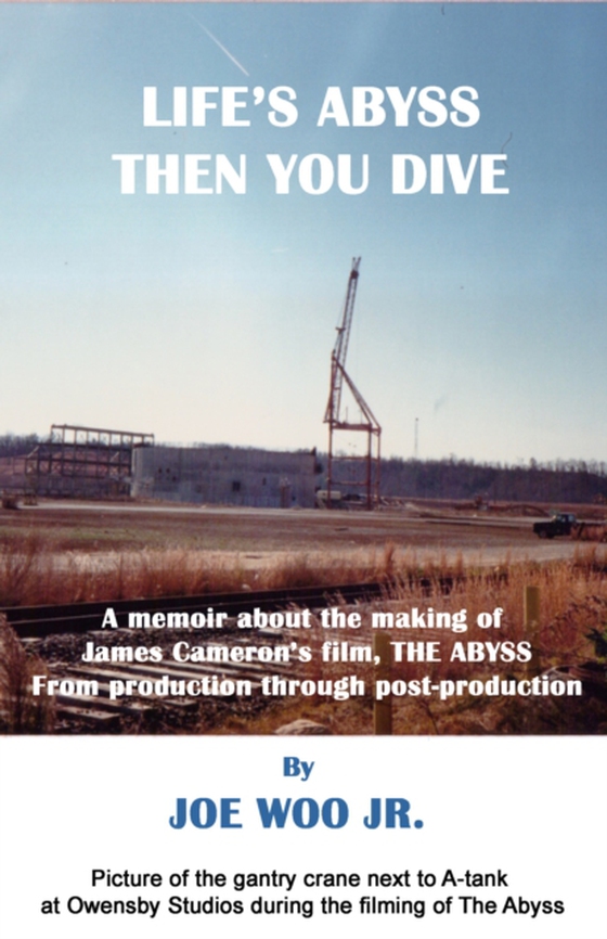 Life's Abyss Then You Dive (e-bog) af Joe Woo, Jr