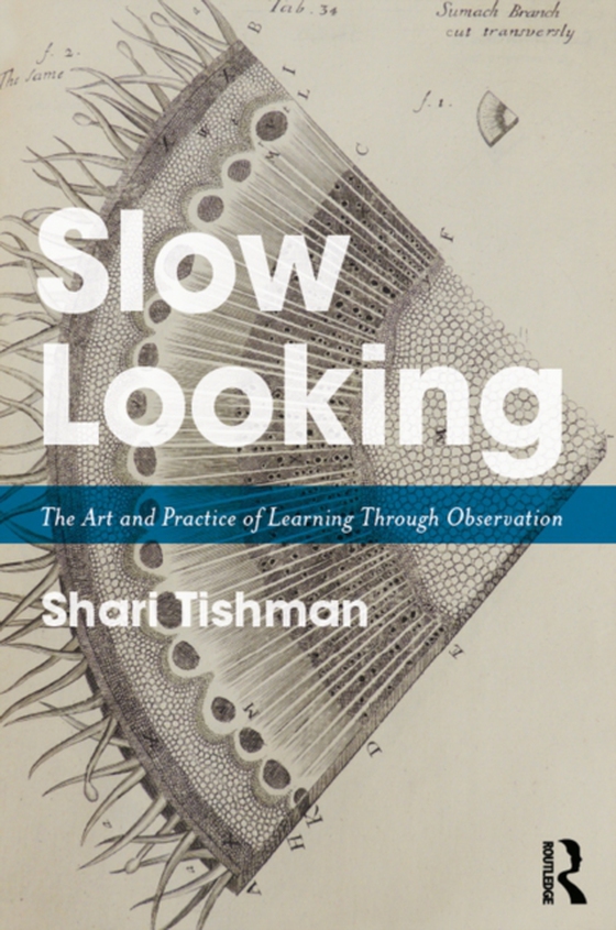 Slow Looking (e-bog) af Tishman, Shari