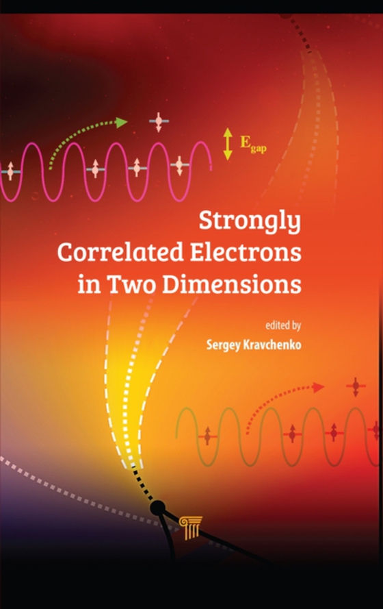 Strongly Correlated Electrons in Two Dimensions (e-bog) af Kravchenko, Sergey