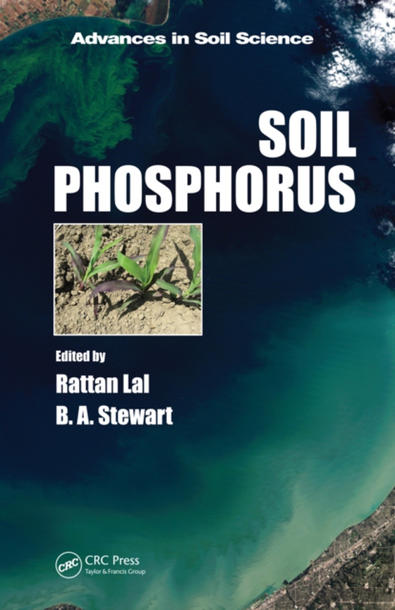 Soil Phosphorus (e-bog) af -