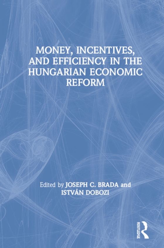Money, Incentives and Efficiency in the Hungarian Economic Reform (e-bog) af Dobozi, Istvan