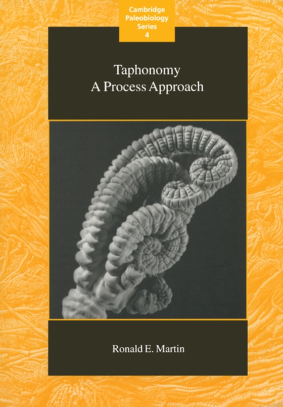 Taphonomy