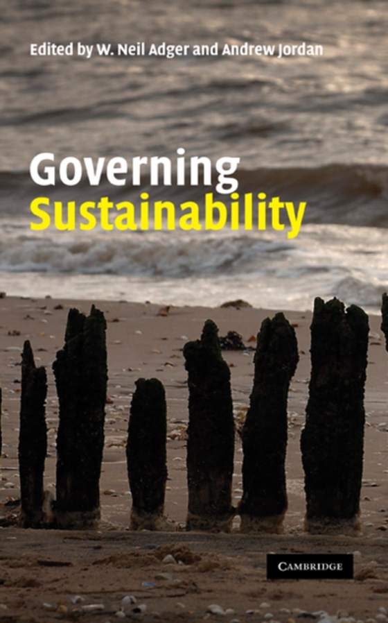 Governing Sustainability (e-bog) af -