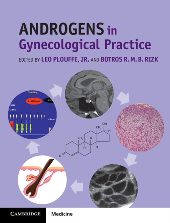 Androgens in Gynecological Practice (e-bog) af -