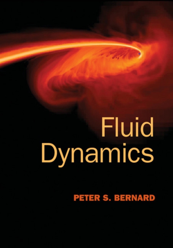 Fluid Dynamics (e-bog) af Bernard, Peter S.