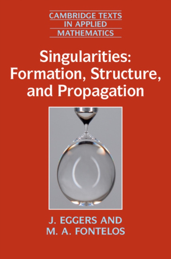 Singularities: Formation, Structure, and Propagation (e-bog) af Fontelos, M. A.