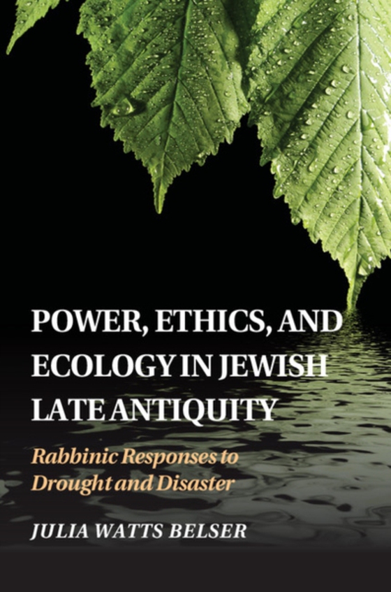 Power, Ethics, and Ecology in Jewish Late Antiquity (e-bog) af Belser, Julia Watts