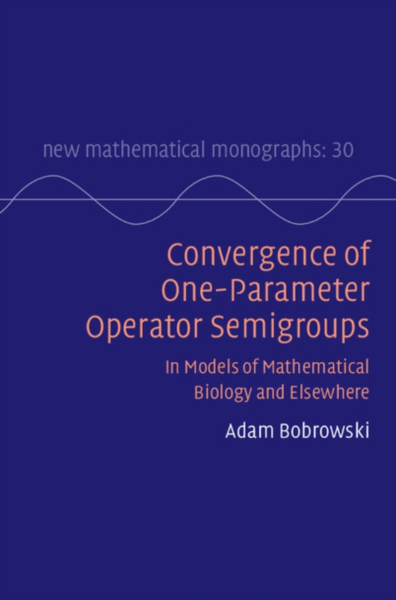 Convergence of One-Parameter Operator Semigroups (e-bog) af Bobrowski, Adam