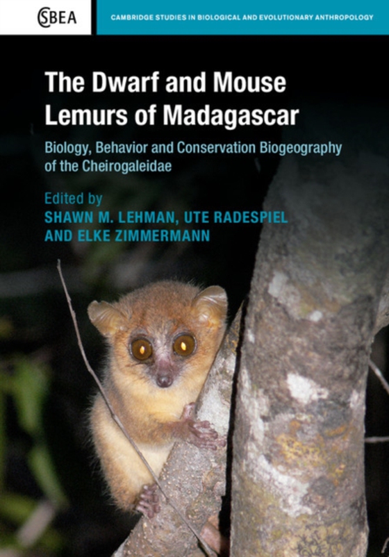 Dwarf and Mouse Lemurs of Madagascar