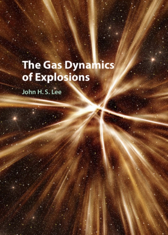 Gas Dynamics of Explosions (e-bog) af Lee, John H. S.