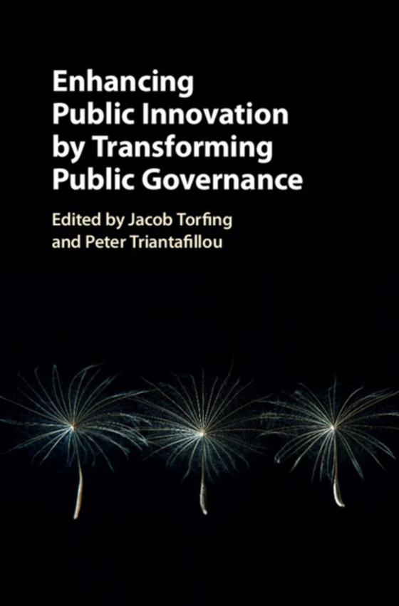 Enhancing Public Innovation by Transforming Public Governance