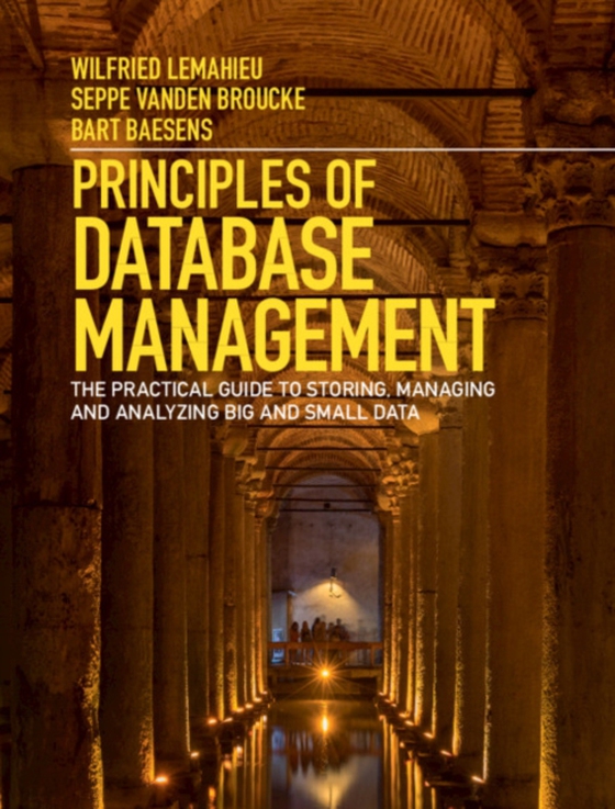 Principles of Database Management (e-bog) af Baesens, Bart