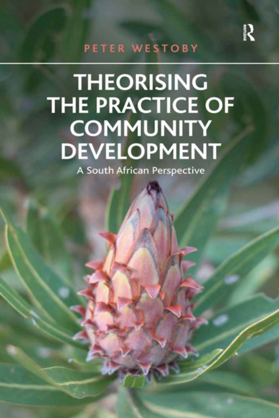 Theorising the Practice of Community Development