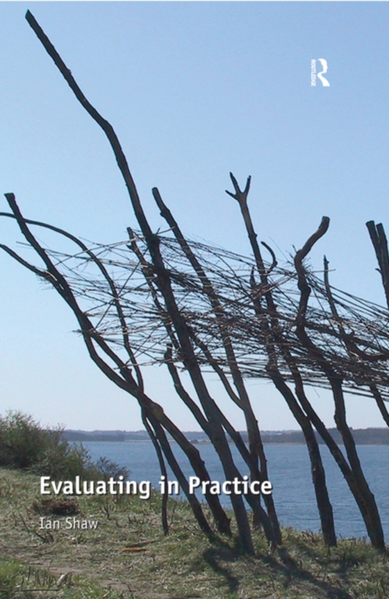 Evaluating in Practice (e-bog) af Shaw, Ian