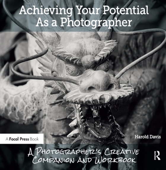 Achieving Your Potential As A Photographer