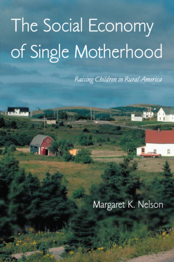 Social Economy of Single Motherhood (e-bog) af Nelson, Margaret